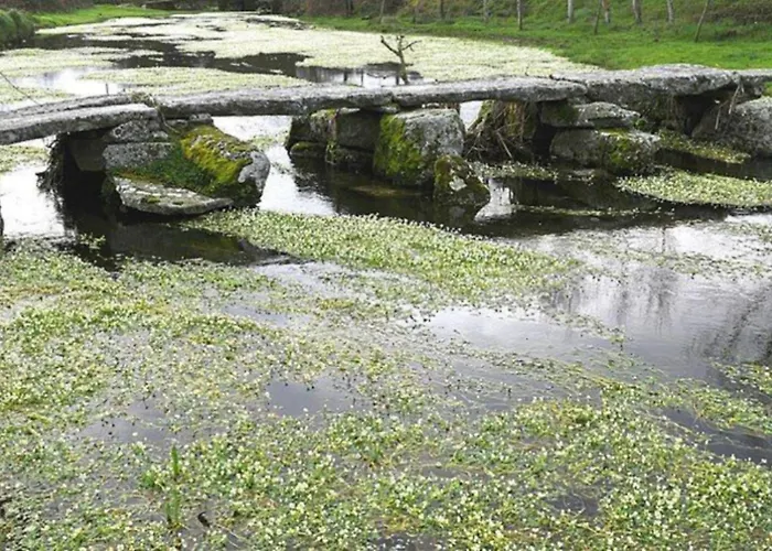 Abuela Carolina Alpesi faház *